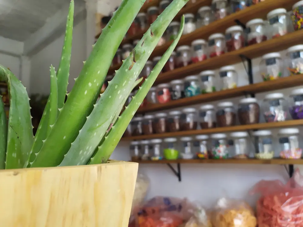 Foto de una recauderia